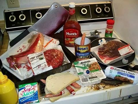 FUNNY Animal Vegan Vegetarian Wierd Al Fun Peta SNL TMZ Ellen Joan Rivers Funeral Robin Will Cartoon