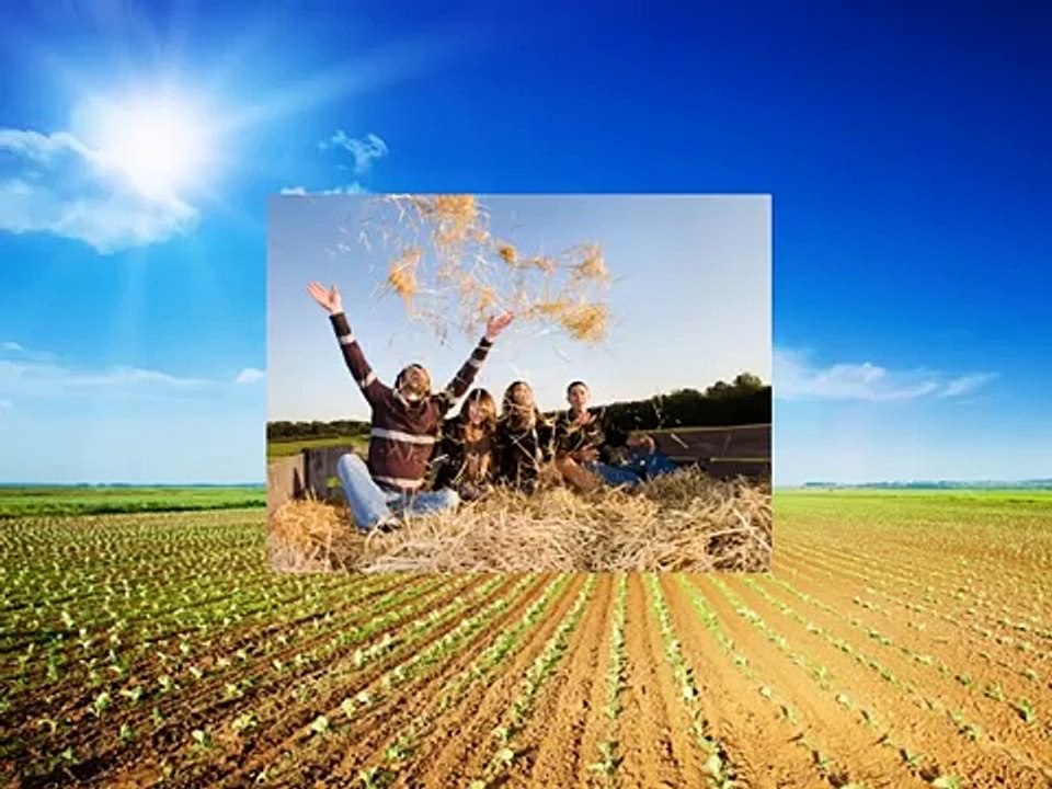 The Greenhouse Effect