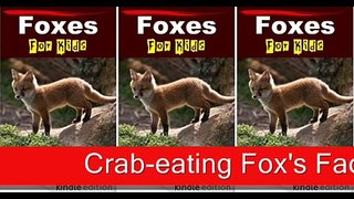 Crab-eating Fox -- Foxes For Kids -- Amazing Animal Books For Young Readers