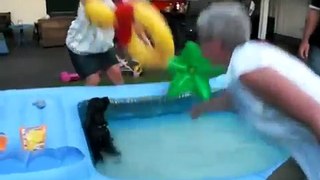 Hunden Teddy leker och badar
