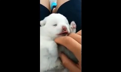 kl핸드폰소액결제 현금화（010↔5906↔0190）3~50만‹•.•›《핸드폰소액대출 현금화》