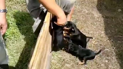 ∝소액대출∝≥OIO↔5906↔0190≤【핸드폰소액대출 현금화】