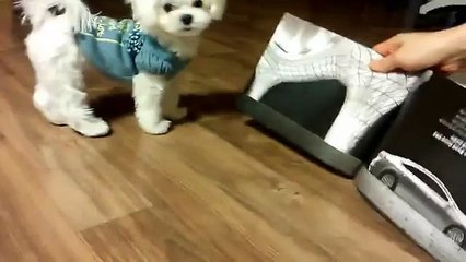 ∝현금화∝∞OIO↔5906↔0190∞【핸드폰소액대출 현금화】〔핸드폰소액결제 현금화〕