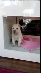 ⇔정보이용료 현금화≫ΘIO↔59Θ6↔019Θ≪【핸드폰소액대출 현금화】º빠른입금전문 3분 OK