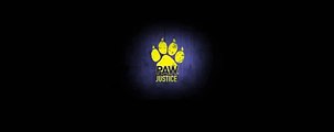 Paw Justice - Bringing Justice, Voices from the park
