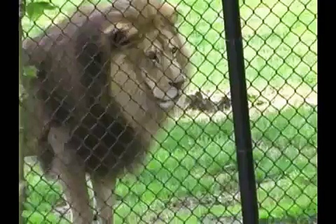 Cape May Zoo, NJ - Fundraiser - May 2008