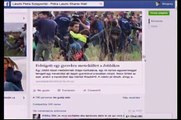 Reportera húngara agrediendo a unos refugiados sirios en la frontera entre Serbia y Hungría