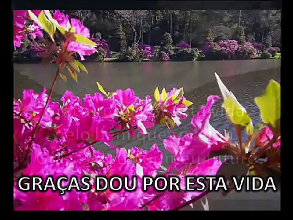 Hinário Luterano. Graças dou por esta vida, 222. Tack, o gud, foer vad som varit.