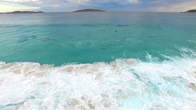 Des centaines de dauphins prennent la vague en Australie. Images magiques...