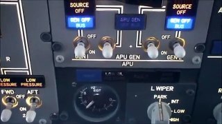MIP 737ng - complete cockpit - FSX and Xplane