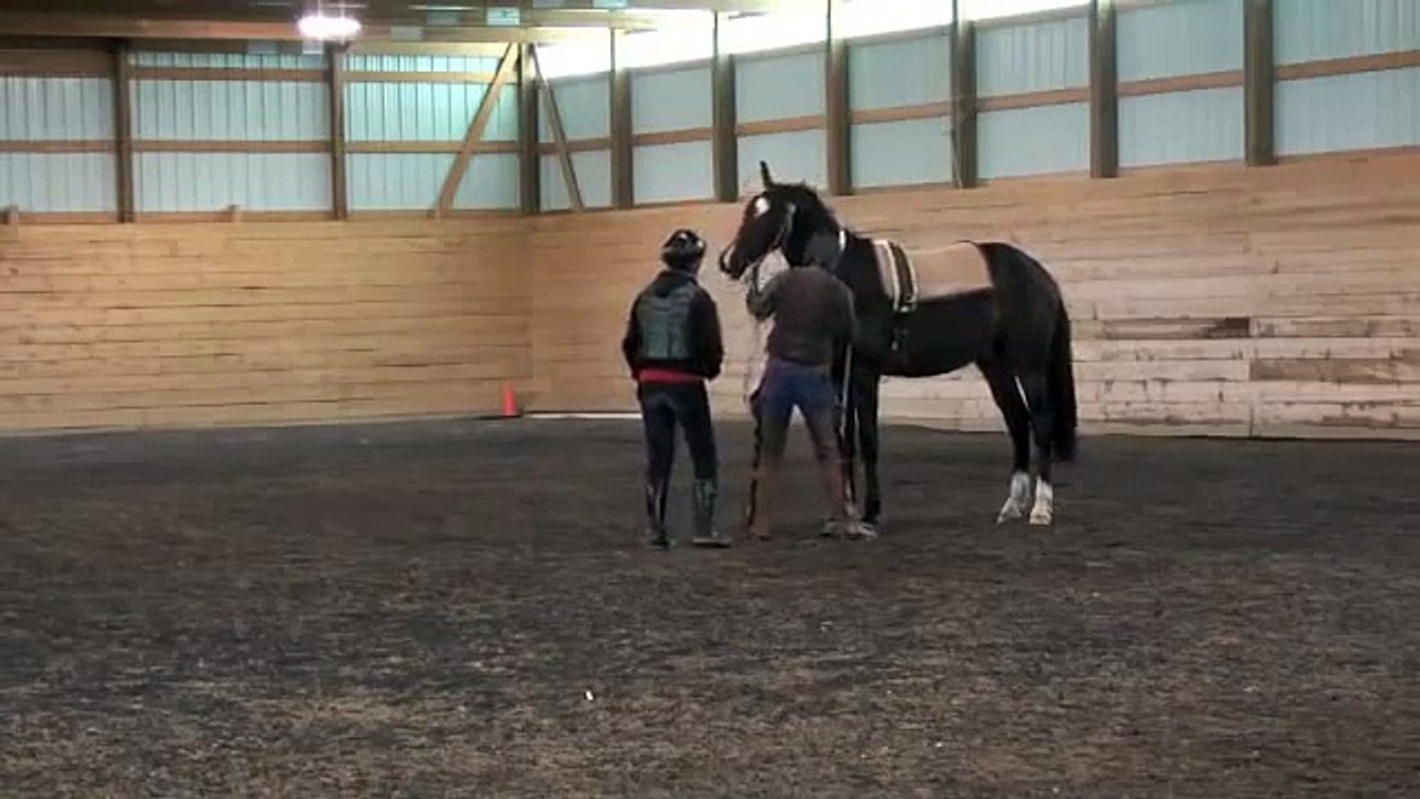 Horse Starting in 15mins