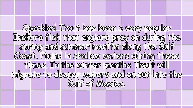 Fishing Tips for Catching Trout
