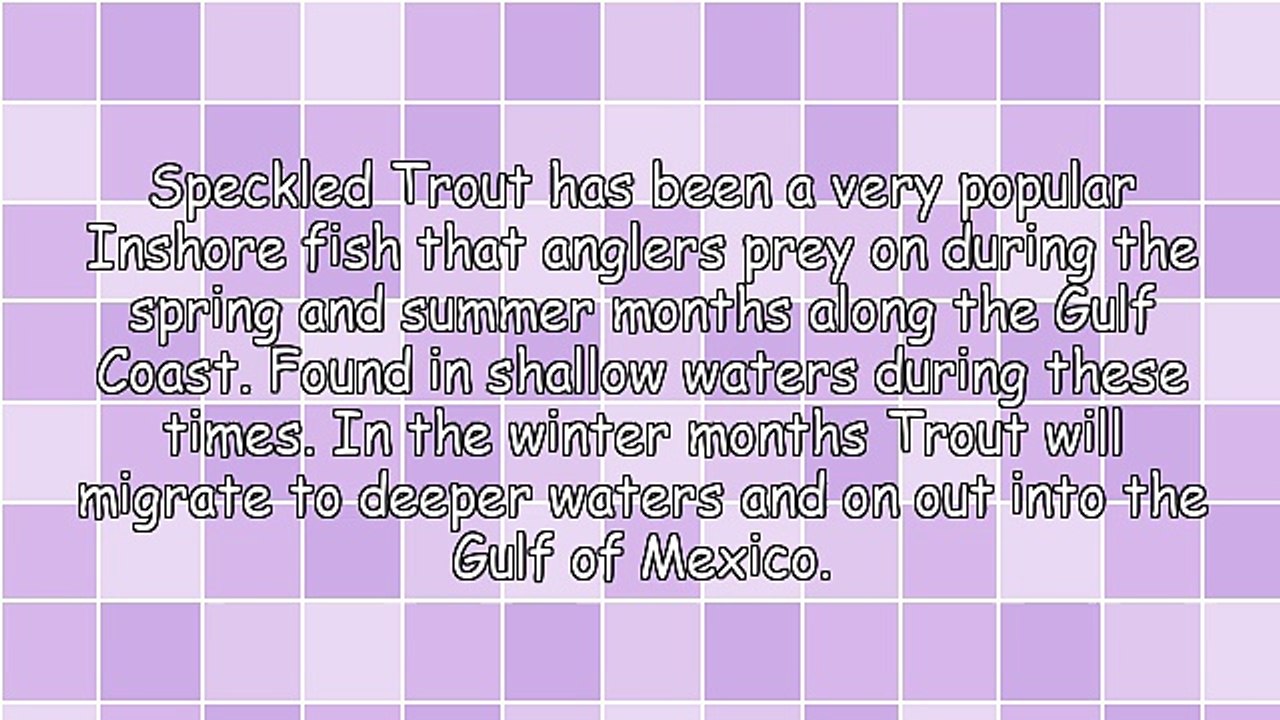 Fishing Tips for Catching Trout