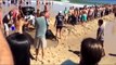 Moments Beachgoers Attempt to Rescue Great White Shark in Cape Cod