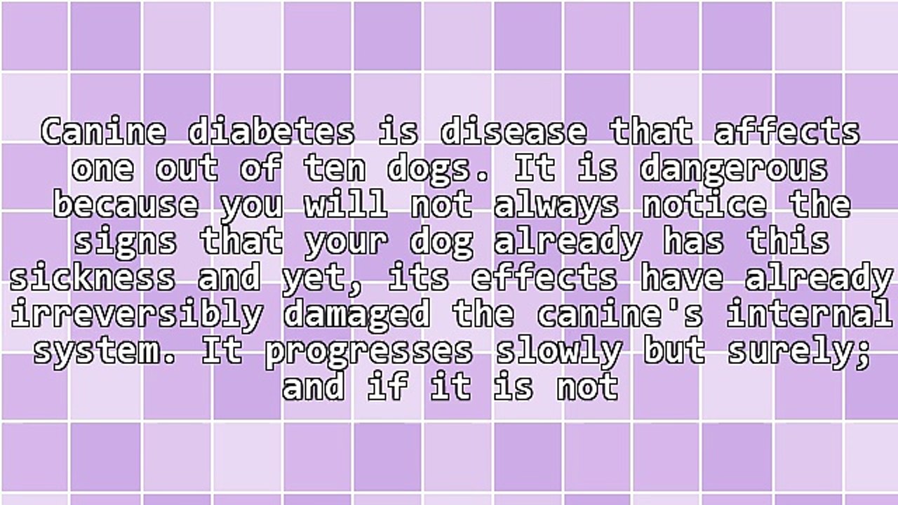 What Are The Symptoms Of Canine Diabetes?