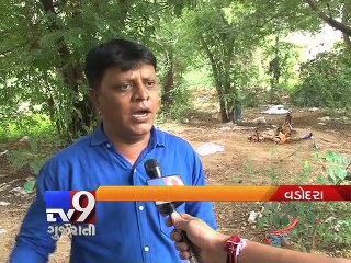 Download Video: VMC Unconcern : Stray dogs feast on dead at Vadodara Crematorium - Tv9 Gujarati