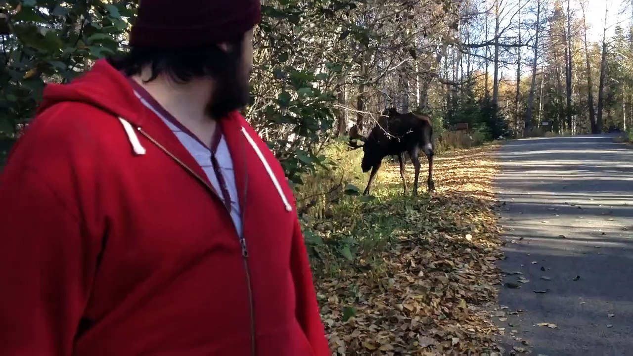 A Moose Visits the Set of "Ingress"