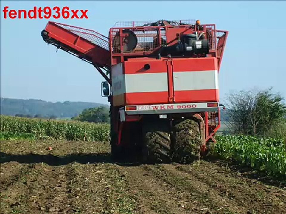 arachage de bettraves (ruwet)