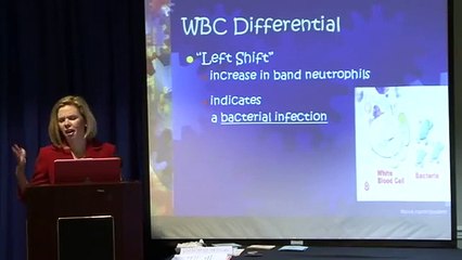 Comprehensive Guide to Pediatric WBC Differential 🩺