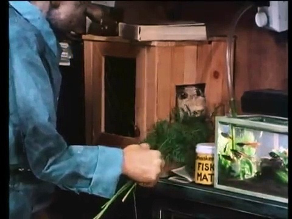 Skrotnisse avsnitt 1av4 +++