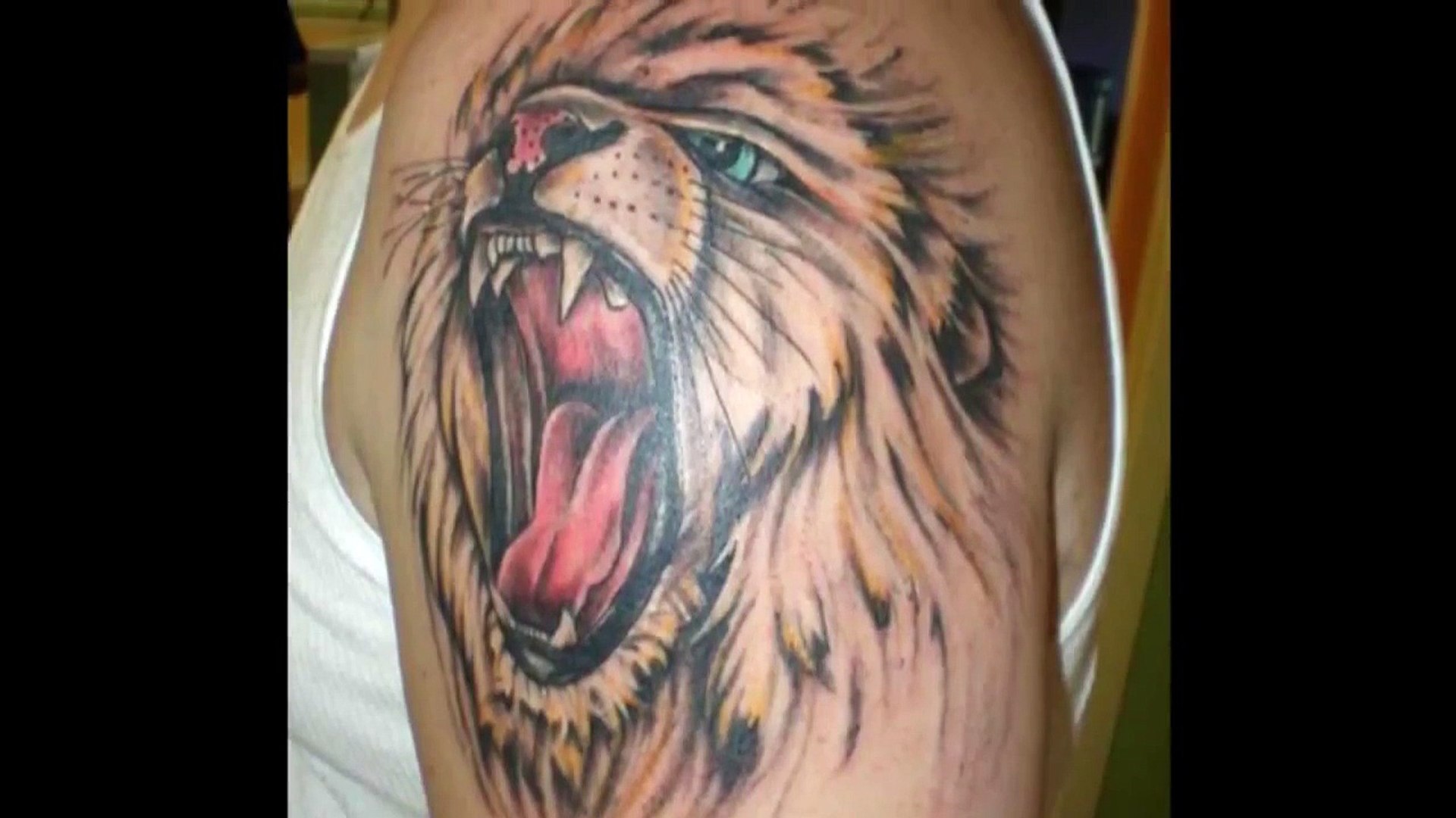 Lion Tattoos Tattoo Desings Pics Tattoos Photos Video Dailymotion 700 x 700 jpeg 53 kb. lion tattoos tattoo desings pics tattoos photos