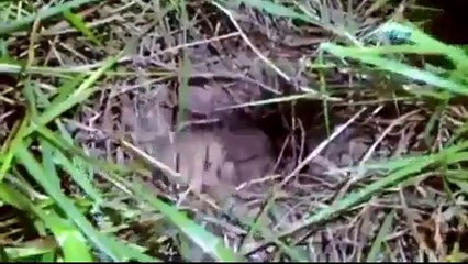 Tünelin sonunda polis bekliyordu