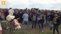 Hungarian Camerawoman Tripping Fleeing Refugees