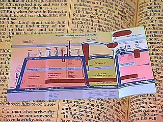 In Jesus Christ You Are A REAL Winner!