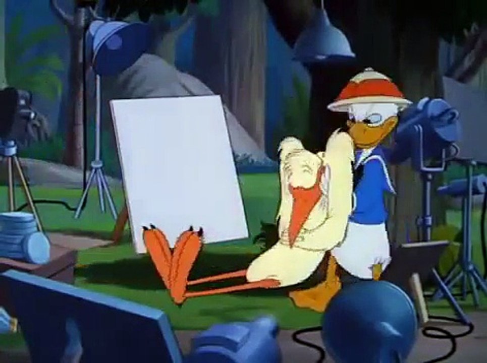 Donal Duck Episodes Clown of the Jungle @1947 - Disney Classic Colletion
