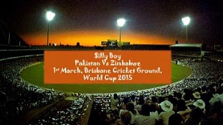 1st March:  Pakistan Vs Zimbabwe- Silly Boy