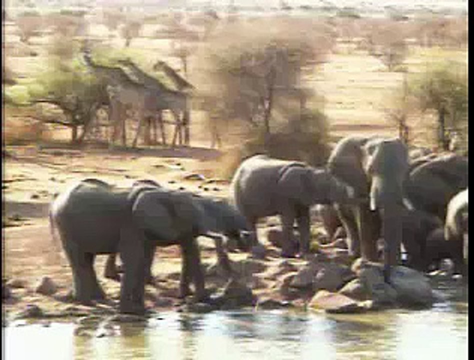 Giraffe 11-10 Part 1