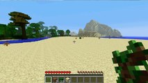 Minecraft- playing on thinknoodles seed