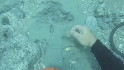 La famille Schmitt découvre un trésor datant de 1715