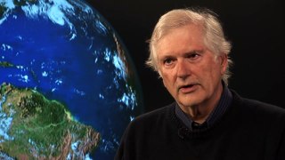Uncut: Stephen Hubbell on species extinction estimates