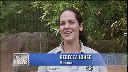 Giant Addition to Zoo!