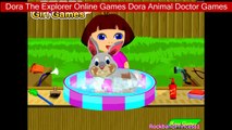 Dora The Explorer Online Games Dora Animal Doctor Games Dora, Dora The Explorer Games, Dora Games,