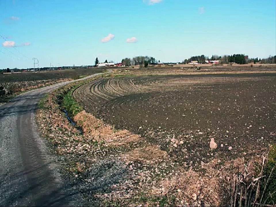 Olavi Virta -  Maantie 1958