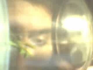 yo y mi bicho en la luna