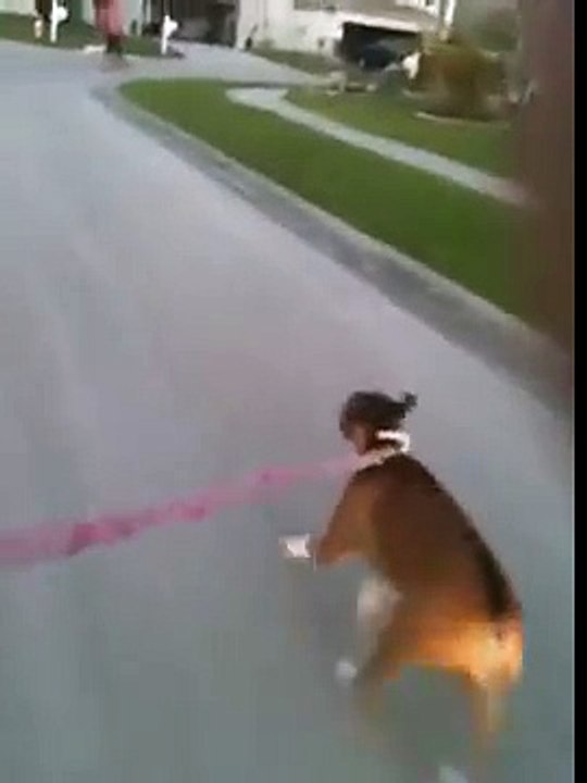 My dog pulls me on my skateboard (almost hit a car!)