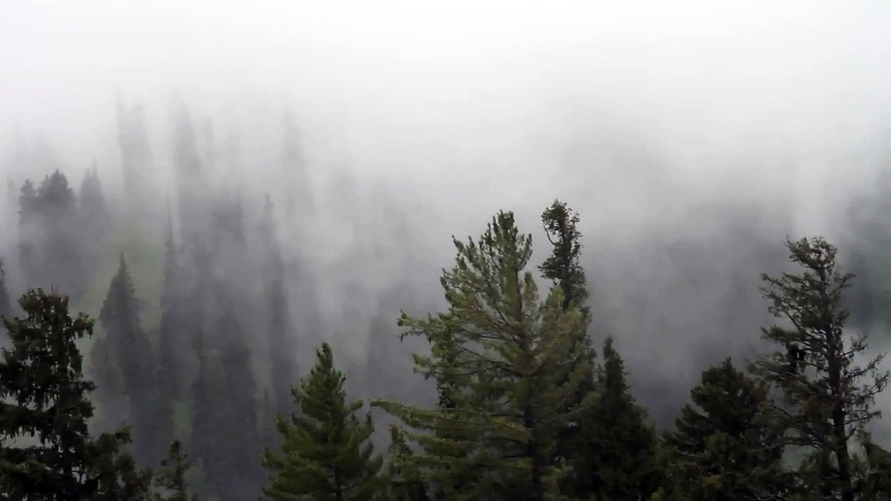 Canon 7D Greenish Grass Cloudy Mountains Travel Natural Beauty of Pakistan Sari Paya 19 Aug 2013