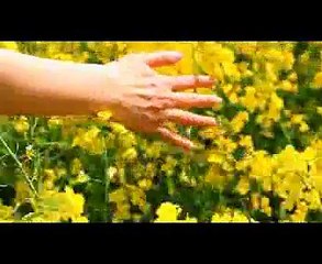 ehna hunjwan da ki karie