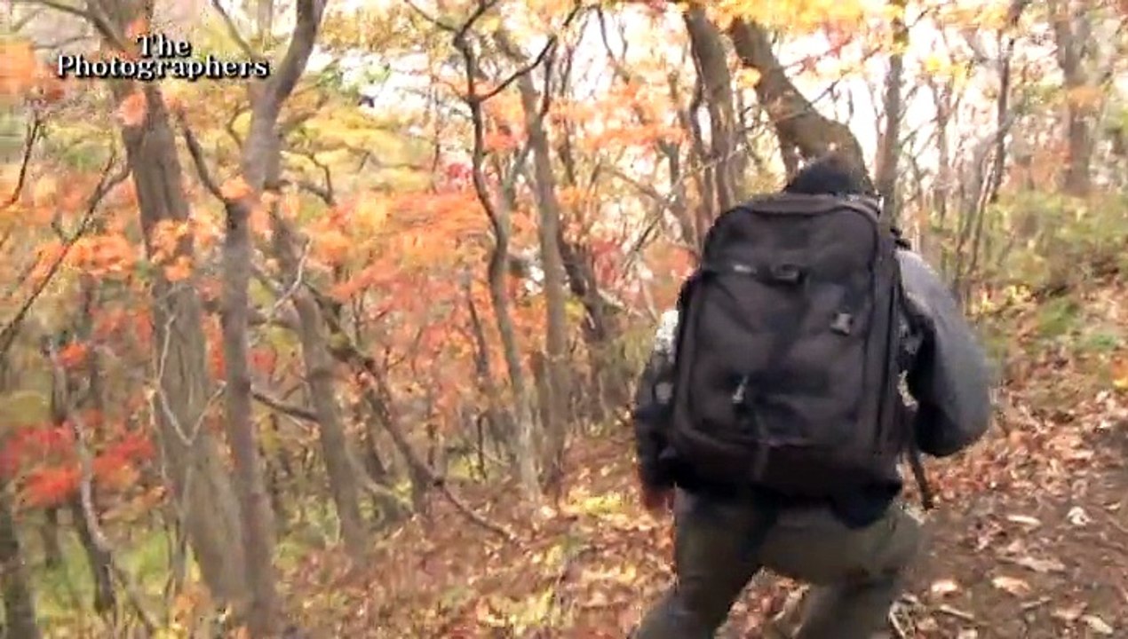 3⃣P graphersⅠ2 生物 一瞬の幸運1  20141117