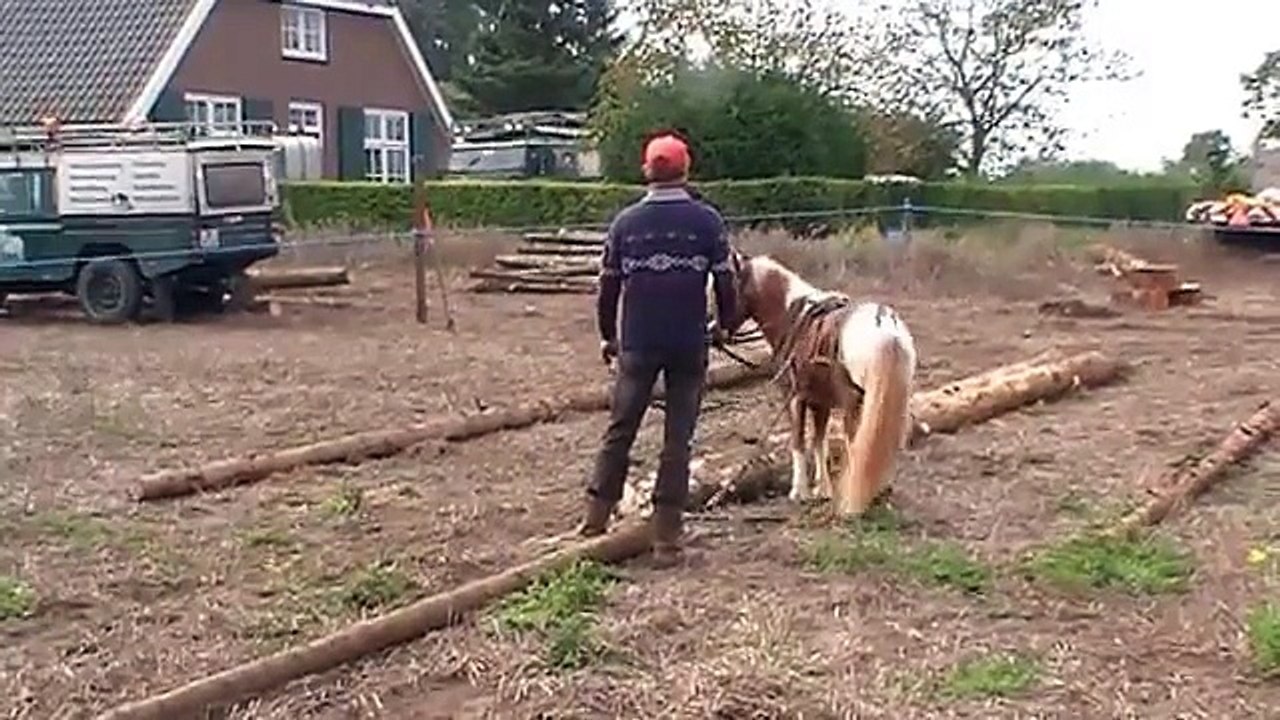 Boomslepen 2014