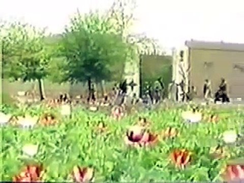 Ring of Power ILLUMINATI Bloodlines part 21 31