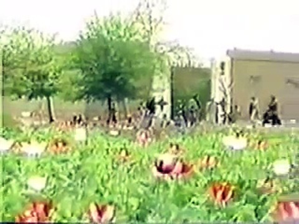 Ring of Power ILLUMINATI Bloodlines part 21 31