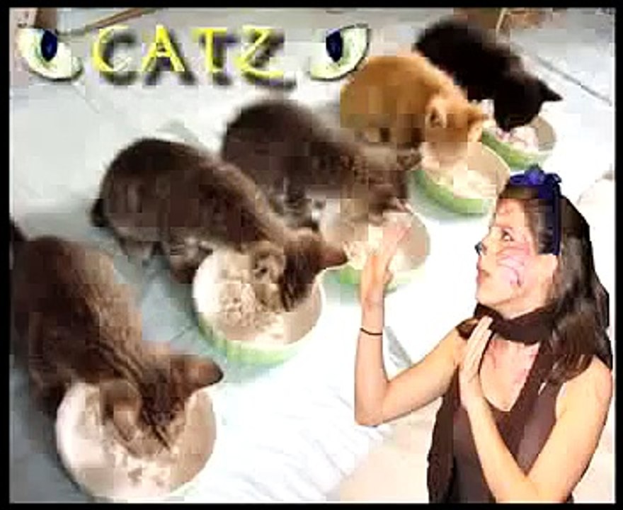 Channel 70 Episode 3