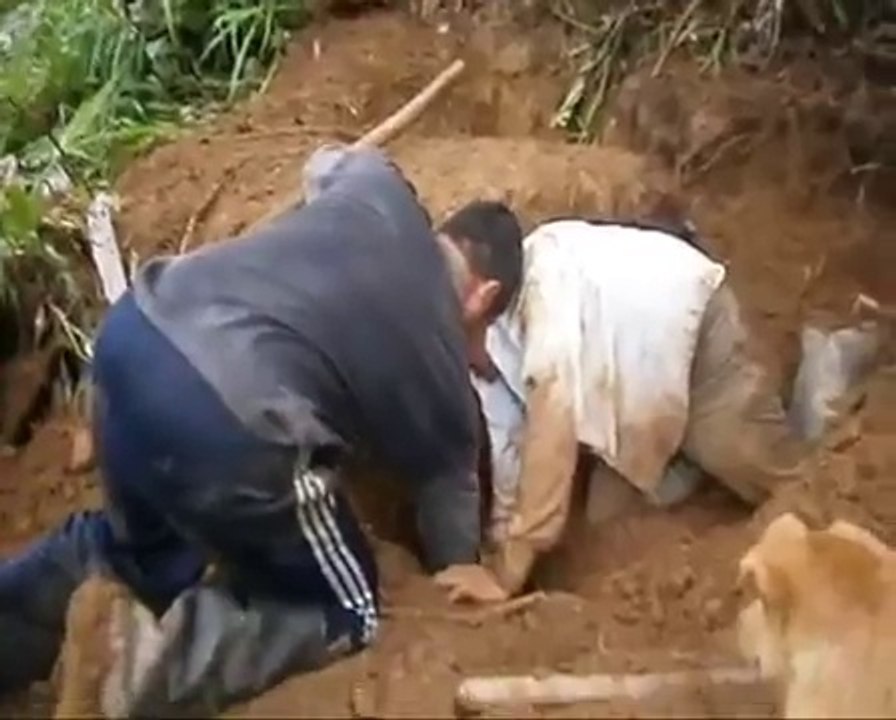 Cazadores de armadillos