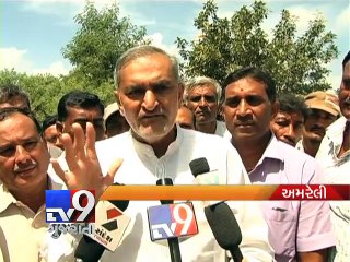 BJP MLA opposes eco-sensitive zone in Amreli - Tv9 Gujarati