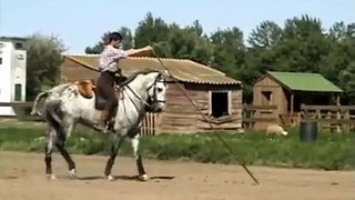 Cavalo Lusitano em Doma Vaquera