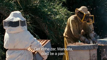 The Wonders of the World 🌎